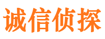 馆陶捉小三公司